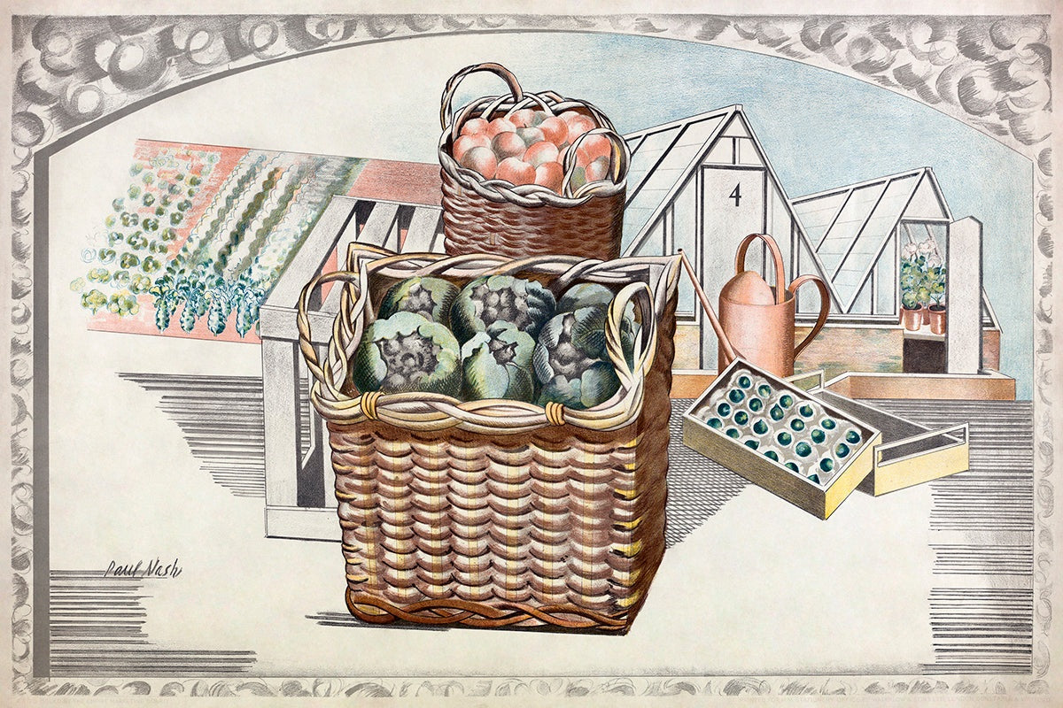 Fruits and Vegetables by Paul Nash customizable wall art print from 905Print
