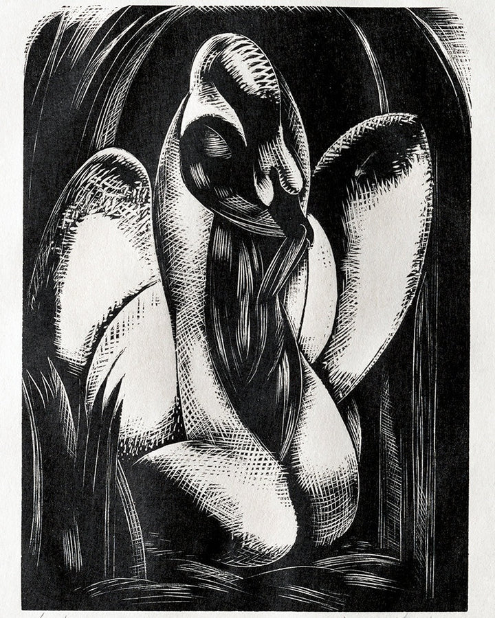 Leda by Paul Nash customizable wall art print from 905Print