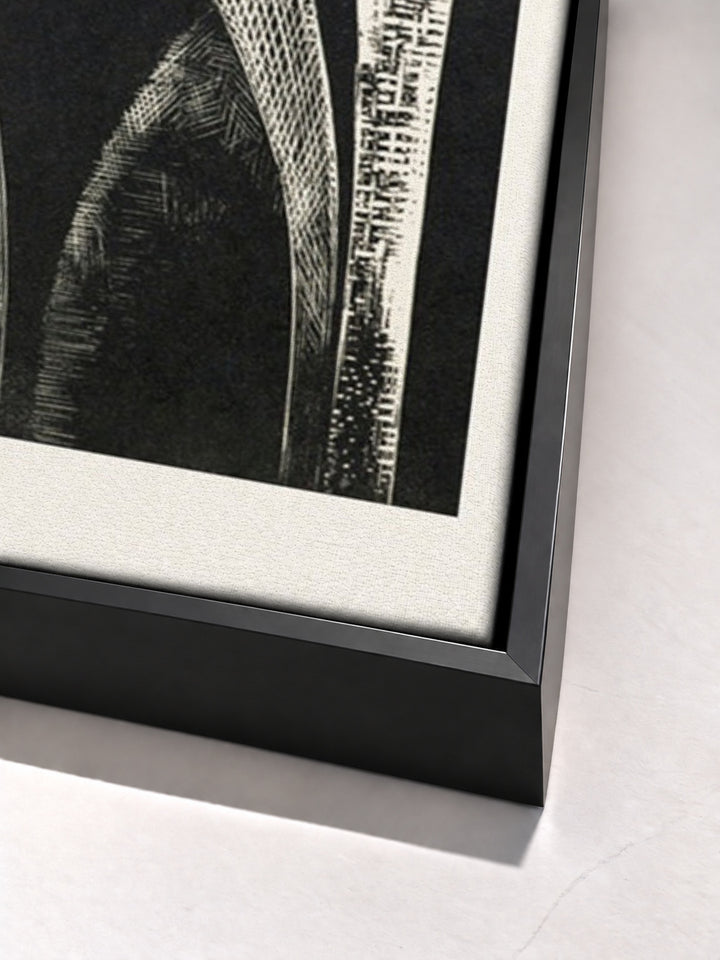 Design of arches, Coronilla by Paul Nash black floater frame corner detail