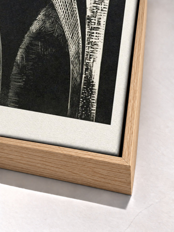 Design of arches, Coronilla by Paul Nash oak floater frame corner detail