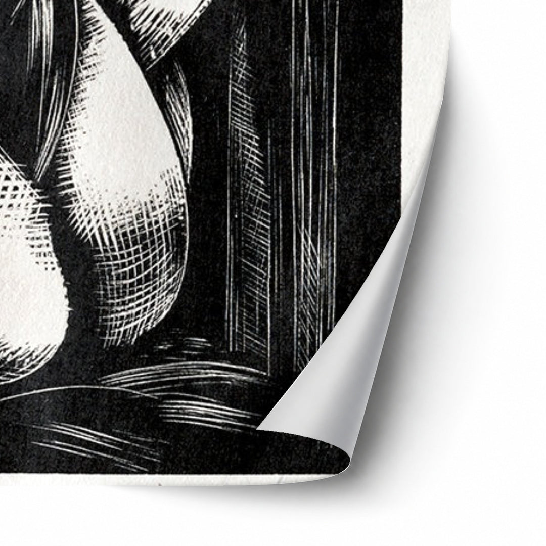Leda by Paul Nash unframed paper print corner detail