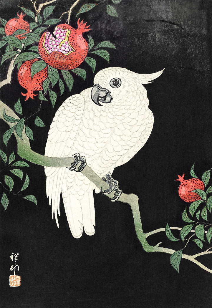 Cockatoo and Pomegranate by Ohara Koson, customizable wall art print from 905Print