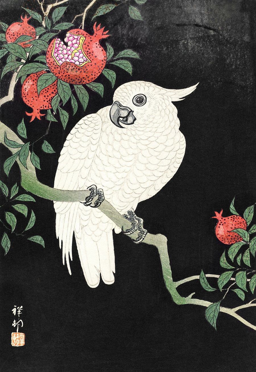 Cockatoo and Pomegranate by Ohara Koson, customizable wall art print from 905Print