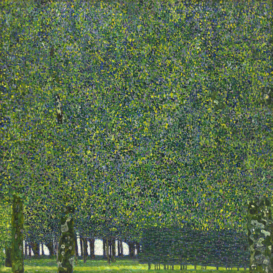The Park by Gustav Klimt wall art print from 905Print