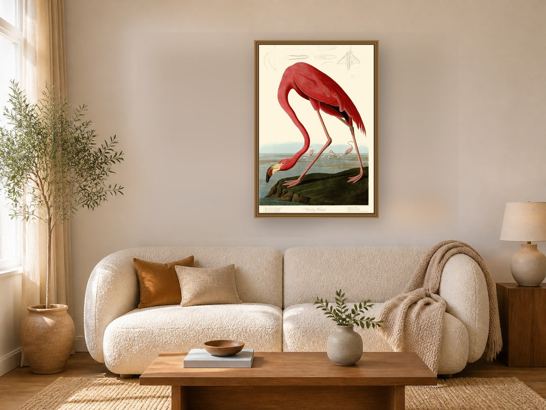 American Flamingo framed wall art print in a living room